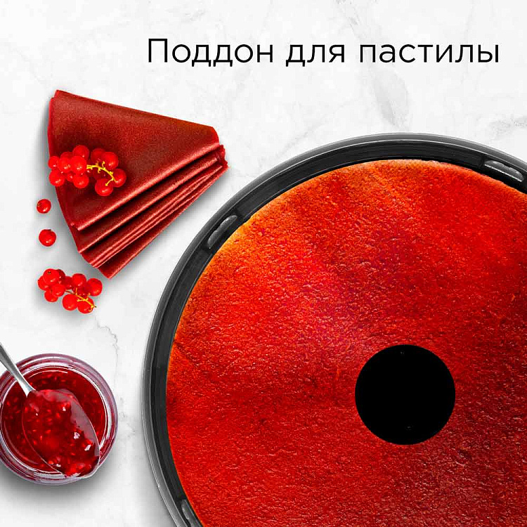 Электросушилка РЕДМОНД FD1103 (черный) - фото 10 - купить в интернет-магазине Редмонд