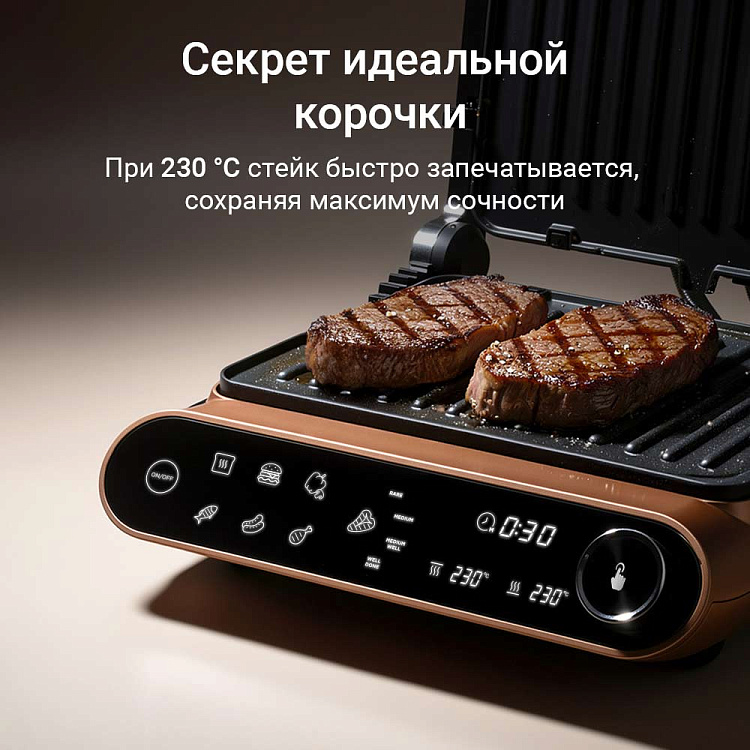 Гриль РЕДМОНД SteakMaster GM303 (бронзовый) - фото 8 - купить в интернет-магазине Редмонд