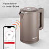 Умный чайник РЕДМОНД SkyKettle KM231S (серо-коричневый), фото