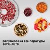 Электросушилка редмонд RFD-0172, фото