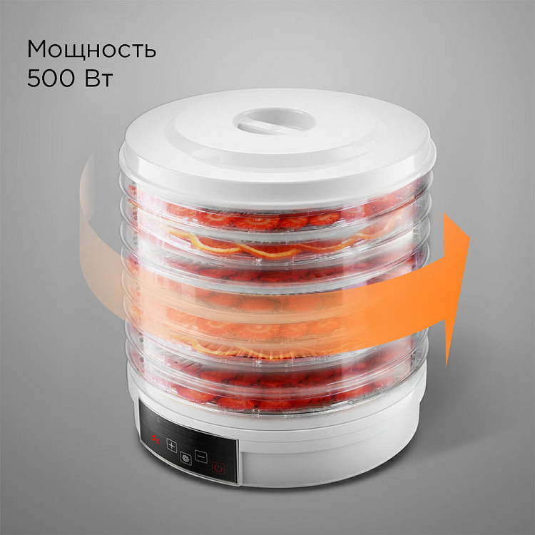 Электросушилка РЕДМОНД FD1101 (белый) - фото 9 - купить в интернет-магазине Редмонд
