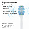 Электрическая зубная щетка РЕДМОНД TB4604 (белый), фото