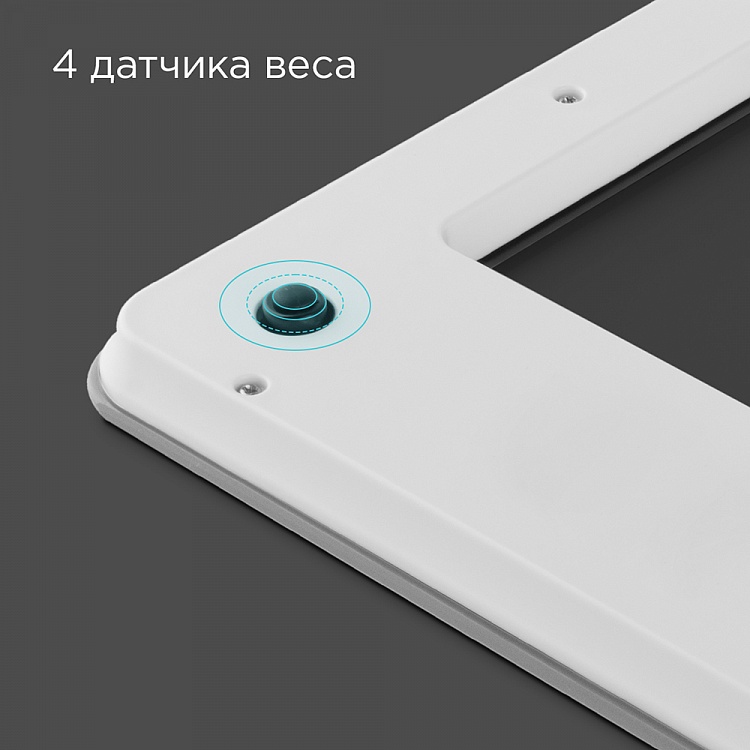 Весы кухонные REDMOND RS-724-E (серебро) - фото 2 - купить в интернет-магазине Редмонд