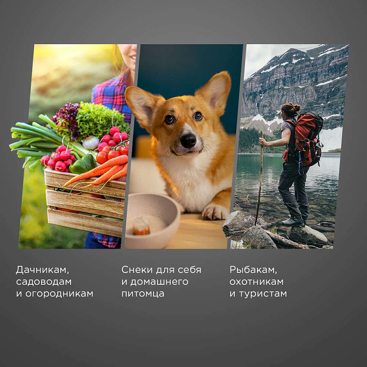 Электросушилка РЕДМОНД FD1101 - фото 3 - купить в интернет-магазине Редмонд