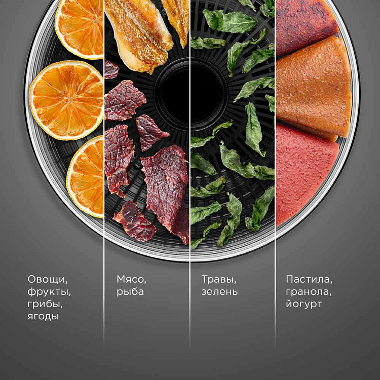 Электросушилка РЕДМОНД FD1101 - фото 2 - купить в интернет-магазине Редмонд