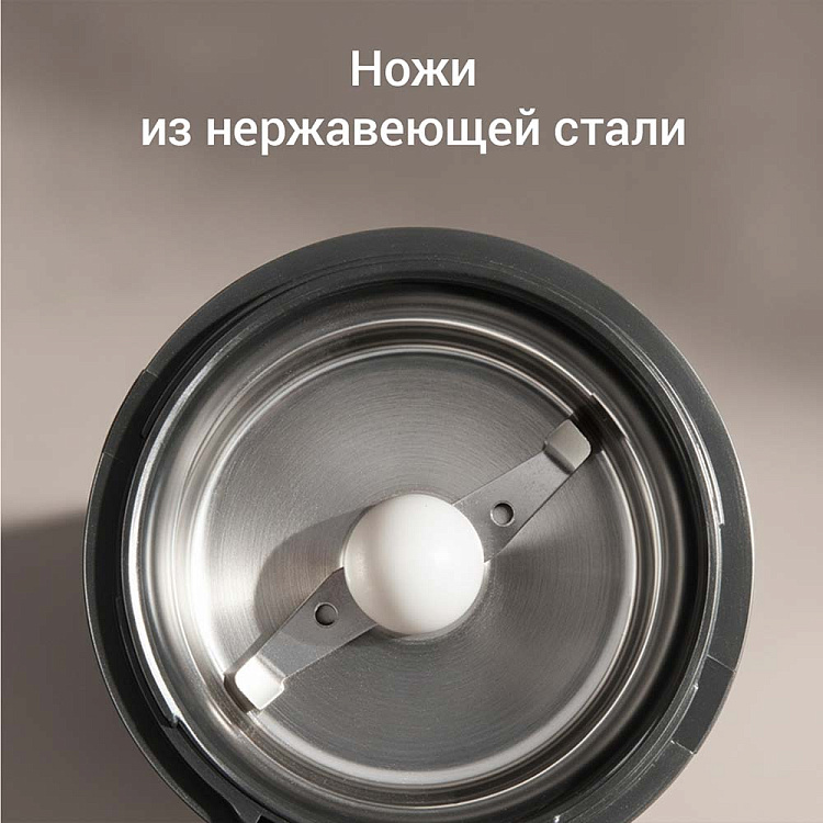 Кофемолка РЕДМОНД RCG-CBM1604 - фото 2 - купить в интернет-магазине Редмонд